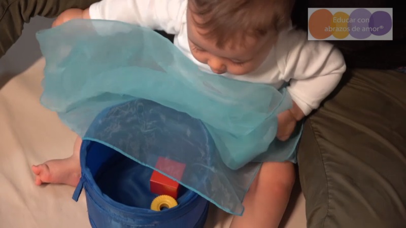 Sección 5 clase 5 Y ahora, ¿Qué hago?